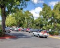 IMG_20260725_144221648_HDR~2.jpg