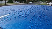 20260731_071826(1).jpg