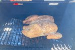 IMG_2317.jpeg