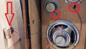 Speaker Caps_.jpg