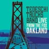 tt-fox.JPG
