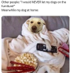 1785766162200.png