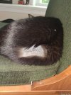 IMG_20260804_065038.jpg