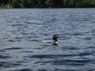 IMG_2990.jpeg