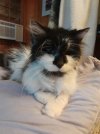 Smudge6.jpg
