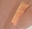 IMG_4130.jpeg