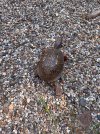 IMG_0631.jpeg