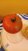 IMG_20260805_091600.jpg