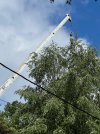Aug5-Top-Crane_1885.jpeg