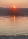 IMG_2352.jpeg
