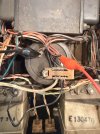 IMG_7980.jpeg