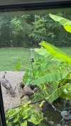 IMG_1086.jpeg
