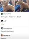 1786382830597.png