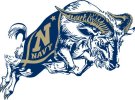 Charging_Goat_-_New_NStar_1.jpg