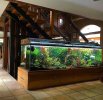 Image 1.jpeg