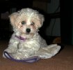 Pic_0418.jpg