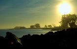 Pic_1393.jpg