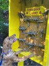 doggy stick library.jpg