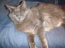 IMG_20260813_012359451.jpg