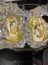 IMG_1337.jpeg