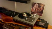 IMG_5640.jpeg