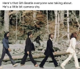 1786905305150.png