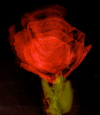 1786920204482.png