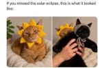 eclipse.jpeg