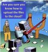 IMG_8010.jpeg