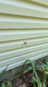 IMG_1196.jpeg