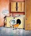 larson - cat dryer.jpg