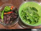 IMG_1810.jpeg