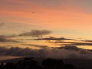 IMG_3596.jpeg