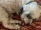 IMG_0641.jpeg