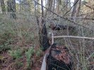 PXL_20250307_215816930.jpg