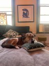 IMG_1672.jpeg