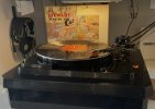IMG_0084.jpeg