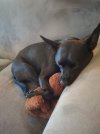 IMG_20260824_095048.jpg