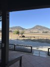 IMG_6759.jpeg