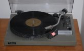 P1030701-calliope-festival-t.JPG