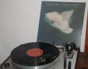 DSC9495 copy.jpg