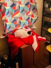 IMG_2165.jpeg