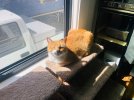 IMG_1801.jpeg