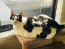 IMG_7231.jpeg