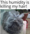 1787865347936.png