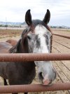 IMG_0328_polarr.jpeg IMG_0328_polarr.jpeg