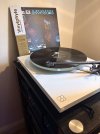 IMG_0505.jpeg