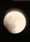 Screenshot_20260828-114720.png
