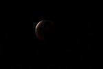 CMY04393-Enhanced-NR.jpg