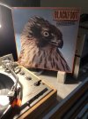 IMG_0593.jpeg